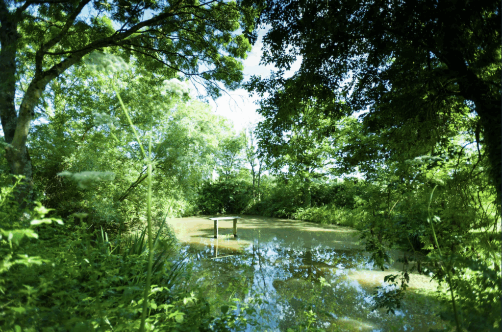 Capture d’écran 2025-10-10 à 14.15.22